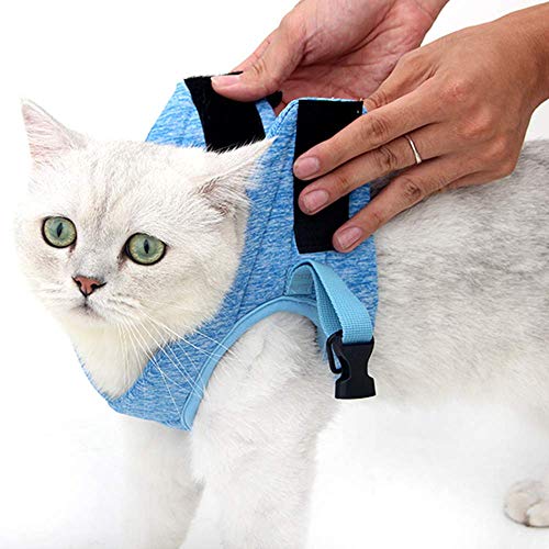 NA - Juego de arnés y correa para gatos ultraligeros y acolchados, diseño de gatito, tela catiónica, sin tirón, ajustable para cachorros, correr, gato, chaqueta para caminar, 1 unidad, color azul