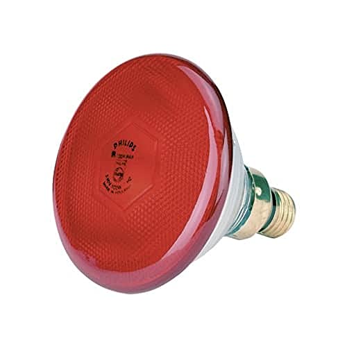 Philips 12898015 Bombilla de Bajo Consumo 175 W, Rojo