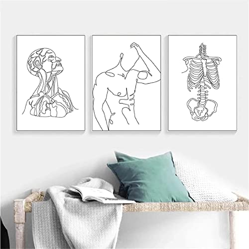 Póster de esqueleto humano abstracto, dibujo de línea de cuerpo masculino, lienzo impreso, pintura de arte de pared de anatomía humana, cuadros, decoración de oficina de Doctor