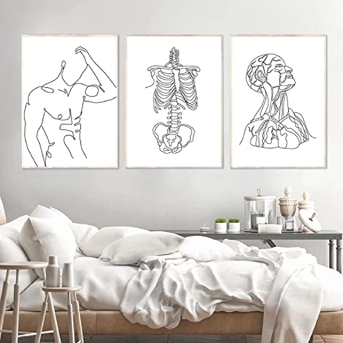 Póster de esqueleto humano abstracto, dibujo de línea de cuerpo masculino, lienzo impreso, pintura de arte de pared de anatomía humana, cuadros, decoración de oficina de Doctor