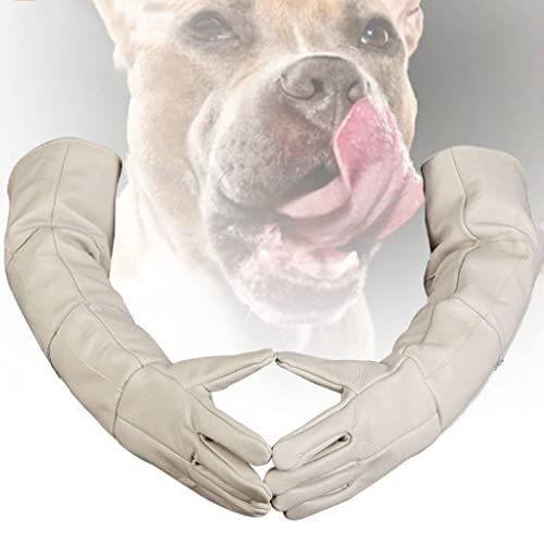 Prevención Guantes de Trabajo Guantes Anti-Cat Scratch and Anti-Dog Biedle Guantes De Entrenamiento Resistente Al Desgarro Ansiosos A Alargados For Perros (Color : Blanco, Size : 60cm)