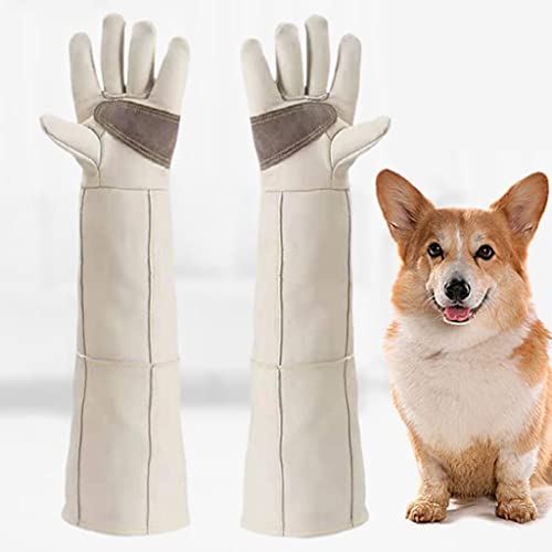 Prevención Guantes de Trabajo Guantes Anti-Cat Scratch and Anti-Dog Biedle Guantes De Entrenamiento Resistente Al Desgarro Ansiosos A Alargados For Perros (Color : Blanco, Size : 60cm)