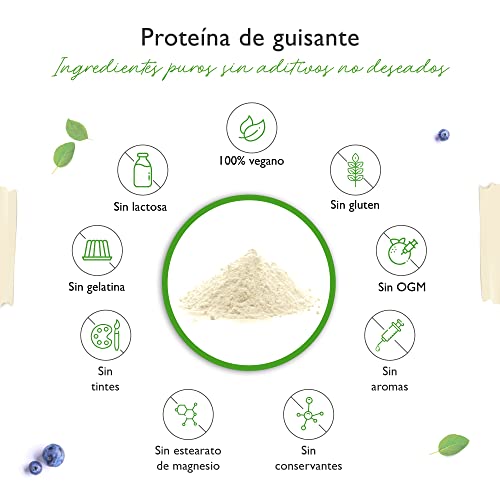 Proteína de guisante en polvo 1,1 kg / 1100 g - 87% de contenido proteico - 100% de proteína de guisante aislada - Origen Bélgica - Vegano - Proteína pura en polvo - Sin gluten, soja ni lactosa