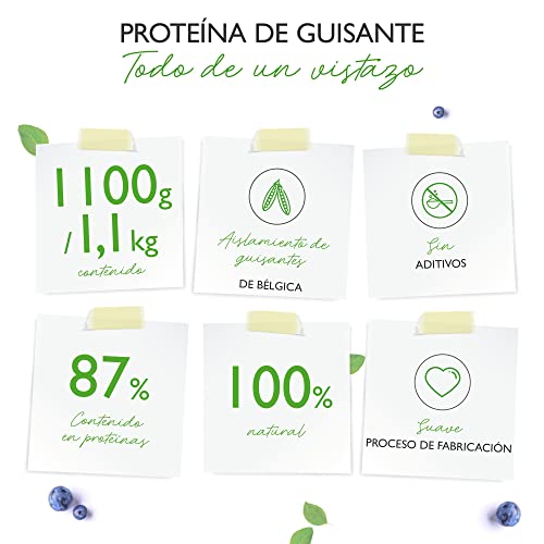 Proteína de guisante en polvo 1,1 kg / 1100 g - 87% de contenido proteico - 100% de proteína de guisante aislada - Origen Bélgica - Vegano - Proteína pura en polvo - Sin gluten, soja ni lactosa