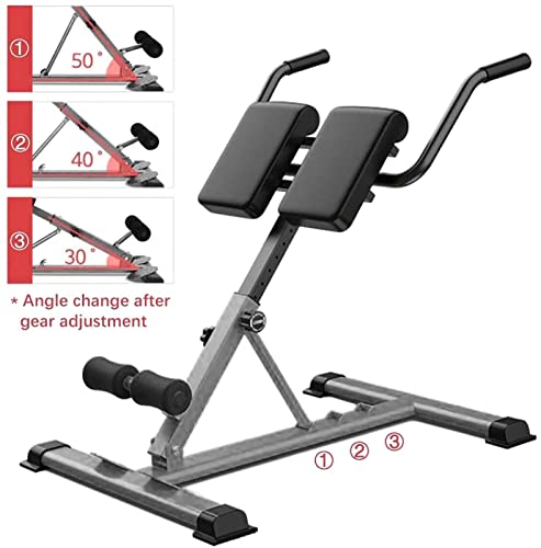 PTY Silla Romana Ajustable Entrenador de abdominales y espalda, Silla romana de hiperextensión para gimnasio en casa, Entrenador de espalda de hiperextensión Carga máxima 300 kg, Barra de inmersión pl