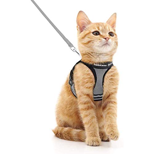 rabbitgoo Arnes Gatos y Correa 150cm Chaleco Ajustable Antitirones Reflectante Cómodo Correa Mágica para Fácil de Poner y Quitar para Paseo Diario Arnes para Perro Pequeño Conejos Gatos M Gris