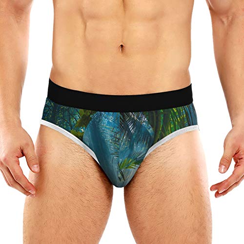 REFFW Estirar el bóxer del baúl de la luz de la mañana Hermosa Jungle Garden Bulge Pouch Calzoncillos para Hombre