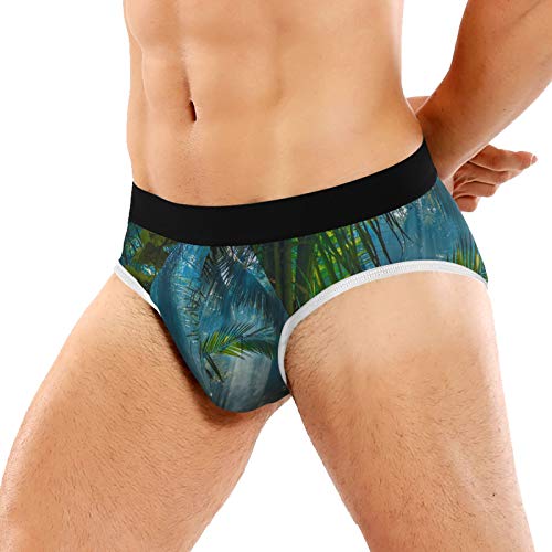 REFFW Estirar el bóxer del baúl de la luz de la mañana Hermosa Jungle Garden Bulge Pouch Calzoncillos para Hombre