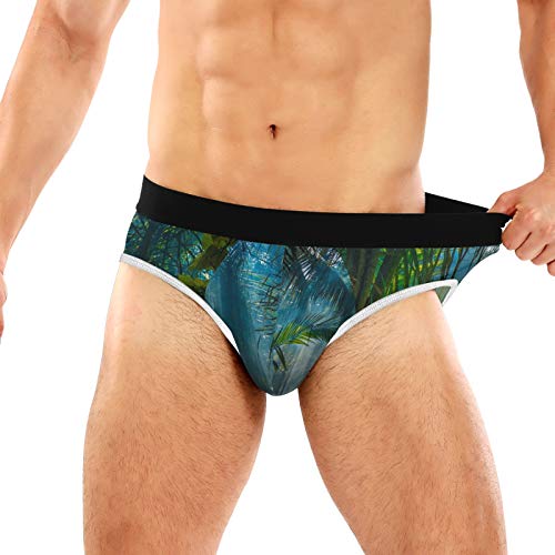 REFFW Estirar el bóxer del baúl de la luz de la mañana Hermosa Jungle Garden Bulge Pouch Calzoncillos para Hombre