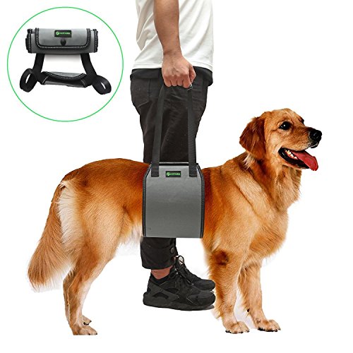 RockPet Soporte para Perros con Manija para la Ayuda Canina, Aprobado por los Veterinarios. Arnés para Levantar Perros Durante la Rehabilitación (S,Gris)