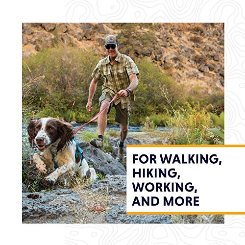 RUFFWEAR Web Master Arnés para Perros Multiusos, entornos difíciles, Perros de Trabajo, Razas pequeñas, Ajuste Ajustable, tamaño: pequeño (56-69 cm / 22-27 Pulgadas), Gris crepúsculo