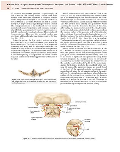 Surgical Anatomy and Techniques to the Spine: Expert Consult - Online and Print, 2e