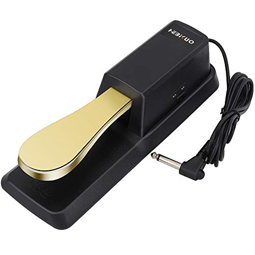 Sustain Pedal de Piano, con Goma Antideslizante, Perfecto para Teclados y Pianos Digitales Yamaha, Casio, Roland, Korg, M-Audio y Fairdeal