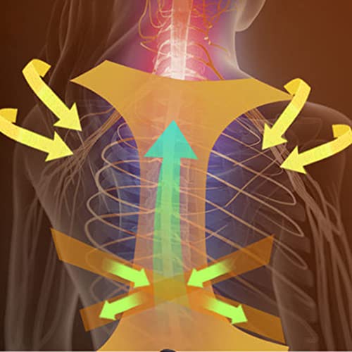 SXFYGYQ Ortesis de Columna Lumbar Soporte de corrección de Espalda Correas de Soporte de Espalda Completa para Alivio del Dolor de Espalda Superior e Inferior para Hombres y Mujeres Adultos