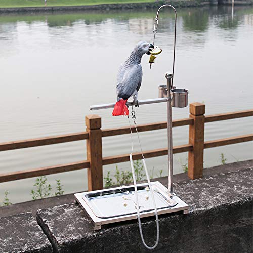 TAOJIN Correa de Entrenamiento para pájaros Anti-mordida para Vuelo al Aire Libre, Cuerda de Entrenamiento para arnés de Loro, arnés Ultraligero(3.5mm)