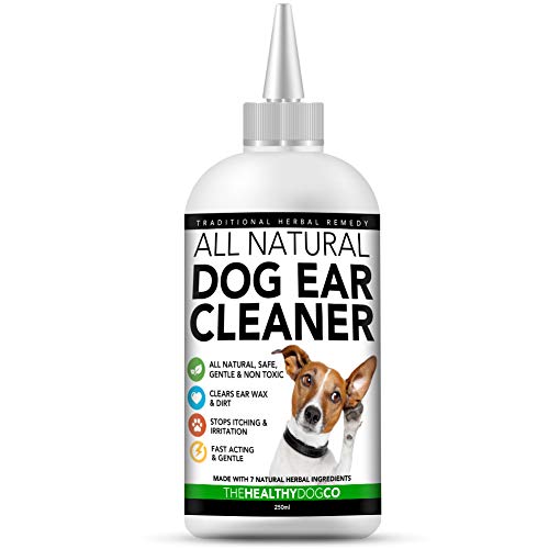 The Healthy Dog Co Limpiador Completamente Natural de Oídos para Perros | 250ml | Ponga Fin al Sufrimiento de Sus Perros en 2-3 Días | Elimina Los Olores, la Picazón y Las Secreciones