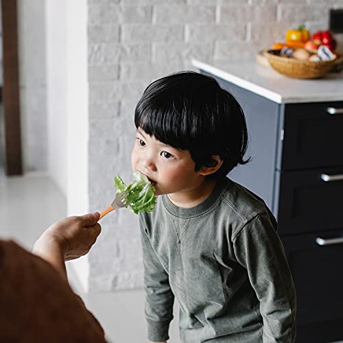 Tomodoks Juego de 2 tenedores de seguridad para cubiertos de bebé, tenedor de silicona para niños, tenedor para niños con mango de madera, a partir de 6 meses