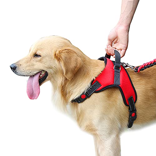 VF Arnés de perro Lex ajustable con asa superior apta para cualquier perro, ideal para caminar, correr y adiestramiento. Dispensador para bolsas higiénicas (M, púrpura)