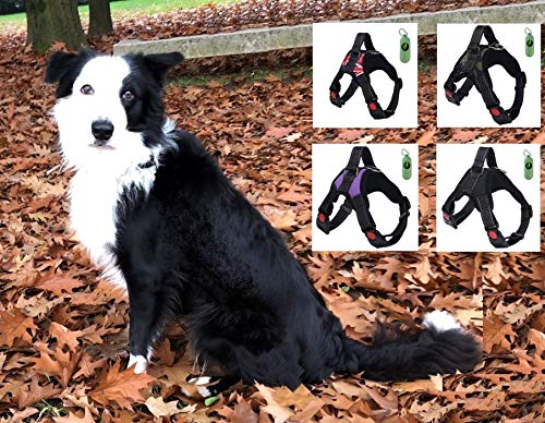 VF Arnés de perro Lex ajustable con asa superior apta para cualquier perro, ideal para caminar, correr y adiestramiento. Dispensador para bolsas higiénicas (M, púrpura)