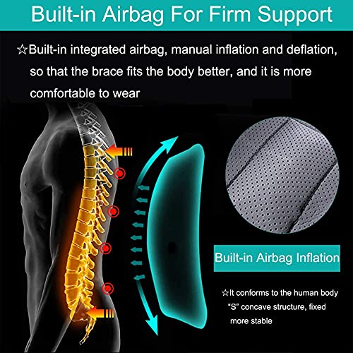 WILLQ Soporte Toracolumbar Ajustable Ortesis de Columna Lumbar para Cifosis Osteoporosis Escoliosis Leve Soporte Posquirúrgico Soporte para Protección de Fracturas de Vértebras Lumbares,L