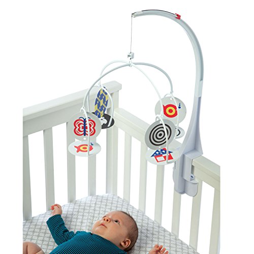 Wimmer Ferguson Infantil Stim-Mobile