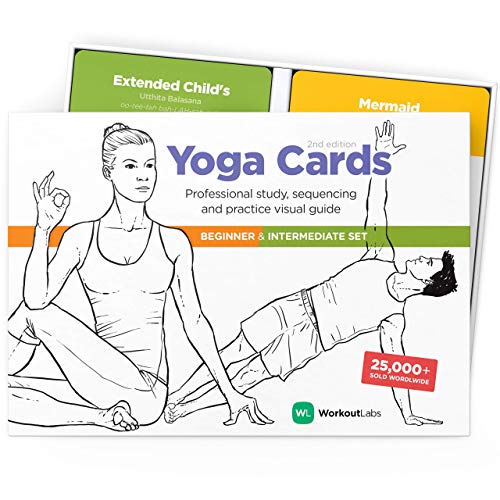 WorkoutLabs Tarjetas plásticas de Yoga con Lengua sánscrito para Estudio Visual, secuenciación de Clases, práctica con posturas, Ejercicios de respiración y meditación (Juego Completo)