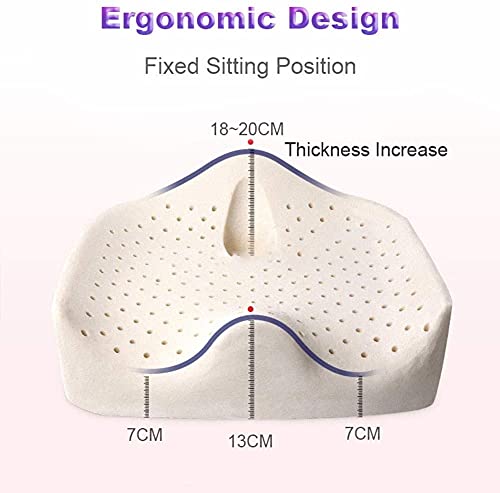 WXFCAS Cojín de asiento ortopédico, cojín de espuma de memoria para pelón y espalda de dolor de espalda Memoria de memoria espuma ciático de la oficina Cojín de asiento de oficina para asientos de aut