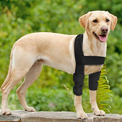 WXFEXIA Protector de codo para pierna delantera para perro, protección de heridas y esguinces debido a la artritis para prevenir lesiones y esguinces o caminar (L)