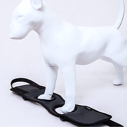 YUDIZWS Arnés para Levantar Perros Ayuda para Caminar, Patas Traseras Y Delanteras Arnés De Soporte para La Cadera para Entrenamiento De Recuperación Amputación con Heridas Viejas,Púrpura,40~52cm