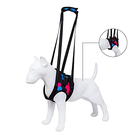 YUDIZWS Arnés para Levantar Perros Ayuda para Caminar, Patas Traseras Y Delanteras Arnés De Soporte para La Cadera para Entrenamiento De Recuperación Amputación con Heridas Viejas,Púrpura,40~52cm