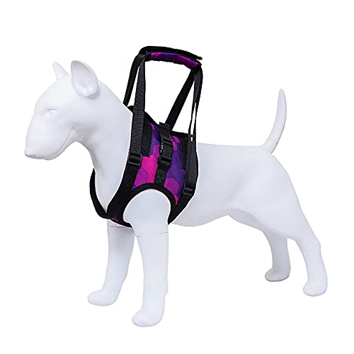 YUDIZWS Arnés para Levantar Perros Ayuda para Caminar, Patas Traseras Y Delanteras Arnés De Soporte para La Cadera para Entrenamiento De Recuperación Amputación con Heridas Viejas,Púrpura,40~52cm