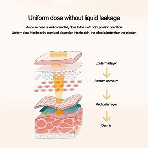 YYL Profesional 2 en 1 Sin Agujas Pluma Hialurónica 0. 3ML/ 0.5ML, Eliminación de Arrugas y Engrosamiento de Labios Máquina de Presión de Atomizador de Agua