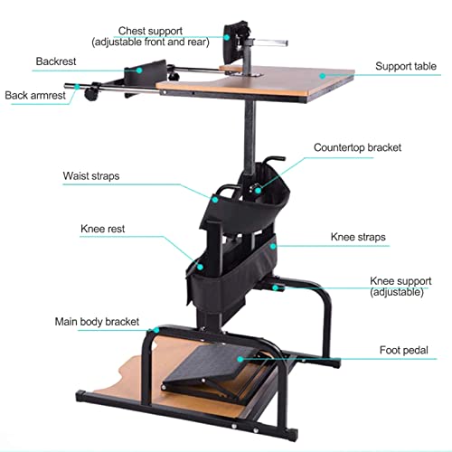 ZJWD Stand Assist Unidad de Transporte de Pacientes, Equipo de rehabilitación para bipedestación para Entrenamiento de Miembros Inferiores hemipléjicos para Personas Completamente