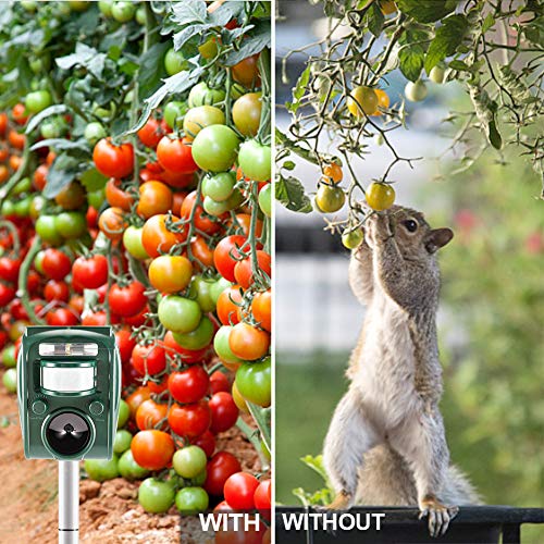 zonpor Repelente Gatos, Repelente Ultrasónico de para Uso al Aire Libre, Ahuyentador para gatos, Ristente al Agua, Animales, Ratones, Perroas, Gatos, pájaros