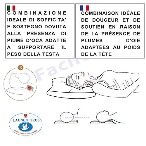 1 Almohada de Plumas de Ganso. Almohada de Cama con Relleno de Plumón 100% Lavado y Esterilizado. Funda de Almohada de Puro Algodón Egipcio Soporte Medio Cómodo Lavable a Máquina (50x80x18cm)