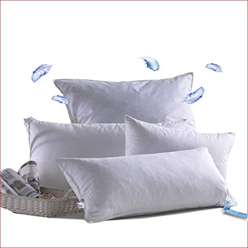 1 Almohada de Plumas de Ganso. Almohada de Cama con Relleno de Plumón 100% Lavado y Esterilizado. Funda de Almohada de Puro Algodón Egipcio Soporte Medio Cómodo Lavable a Máquina (50x80x18cm)