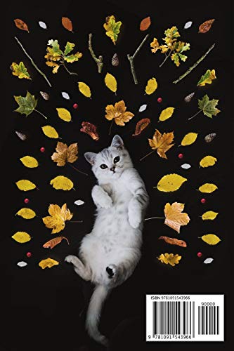 2019-2020 Weekly Planner: Cat-alog of Curiosities Kitten Academic Calendar With Goal-Setting Section July 2019-December 2020, 6"x9"