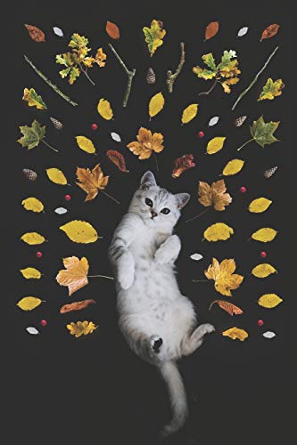 2020 Weekly Planner: 2020 Cat-alog of Curiosities Kitten Calendar With Goal Setting Section and Habit Tracking Pages, 6"x9"