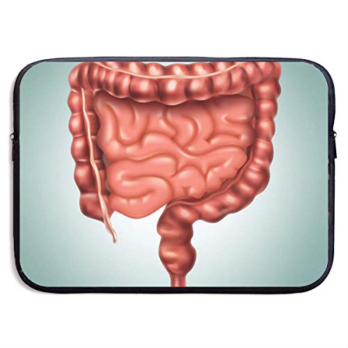 955 Intestino Grueso Y Delgado 15 Pulgadas Funda Ordenador Portatil Bolsa para Portátil Bolsa Pc Portátil Maletín para Portátiles