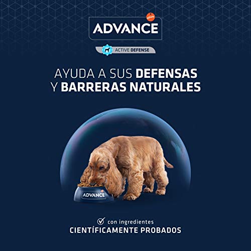 Advance Maxi Adult de Pollo y Arroz 14Kg