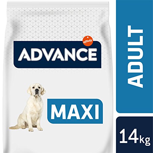 Advance Maxi Adult de Pollo y Arroz 14Kg