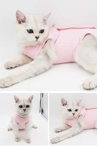 AEITPET Traje de recuperación Profesional para Gatos, Gata Camiseta de recuperación, heridas Abdominales Profesional para heridas, de recuperación quirúrgica Ropa Chaleco de pequeños Gatos (M, Rosado)