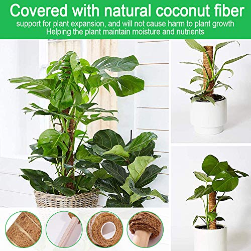 AFASOES 4 Pcs Tutores para Plantas 30cm/40cm Tutor para Monstera Tutor de Musgo para Plantas Palo de Musgo Tótem de Fibra de Coco para Tótem Monstera Plantas Trepadoras Enredaderas + 10 Etiquetas