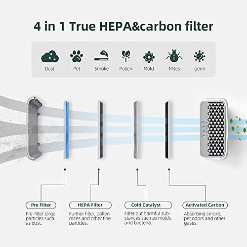 Aiibot Purificador de Aire para Hogar con Filtro HEPA,4 en 1 Filtración y Ionizador,Silencioso,4 Velocidades de Ventilación,Humo,Polvo,Polen,Caspa de Mascotas,Olores,Gérmenes,Moho,hasta 55 m² (2 HEPA)