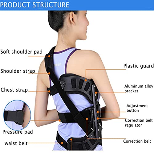 Ajustable Escoliosis Postura Corrector Órtesis de Columna Vertebral Postural Alisador de la Espalda para Mujeres Hombres y Adolescentes