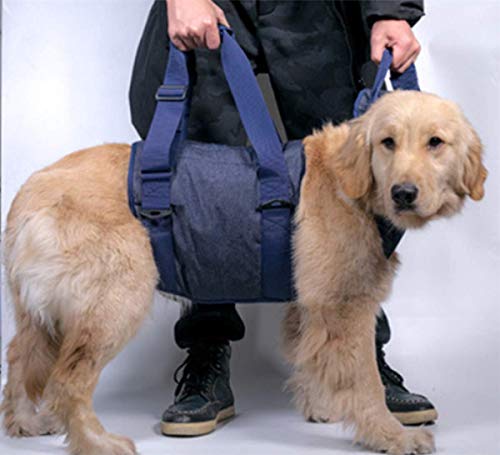 Arnés de soporte para levantamiento de cuerpo completo para perros - Rehabilitación de mascotas Asistencia para caminar Eslingas La correa ayuda al perro a ponerse de pie con lesiones Artritis, (L）