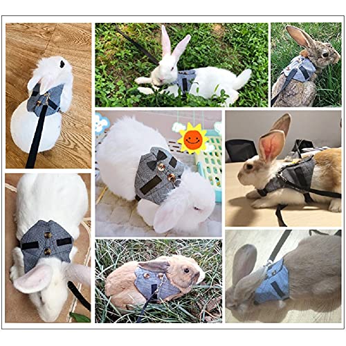 Arnés de Traje Ajustable para Conejos, Arnés para Mascotas Pequeñas y Juego de Cables, para Animales Pequeños, Conejos, Hámsteres, Gatos (Gris M)