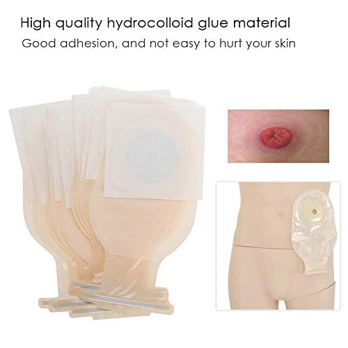 Aviviva Bolsa de ostomía Bolsa de colostomía 10 unids/Pack Sistema de una Pieza Bolsa de ostomía Bolsa médica drenable Bolsa de colostomía Suministros de ostomía