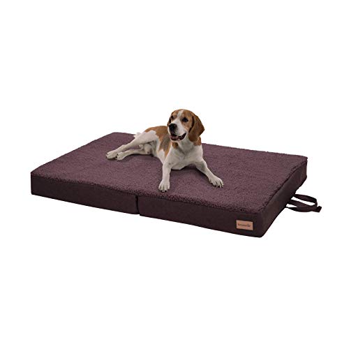 brunolie Paco Cama para Perros Plegable Marrón, Lavable, ortopédico y Antideslizante, Cama para Perros con Espuma de Memoria Transpirable, Tamaño L 100 x 70 cm