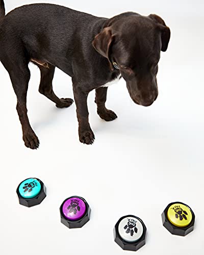 Buzzers de entrenamiento grabables - Botones de entrenamiento de habla para perros y cachorros. Entrena fácilmente a tu perro para presionar botones y voz lo que quieren... (paquete de 4)